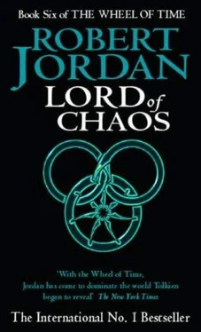 Robert Jordan Lord of Chaos обложка книги