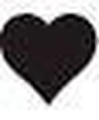 Susane Colasanti - Now and Forever