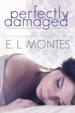 E. Montes Perfectly Damaged обложка книги