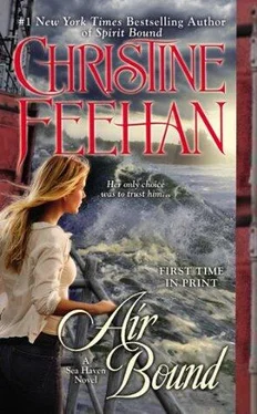 Christine Feehan Air Bound обложка книги