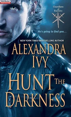 Alexandra Ivy Hunt the Darkness обложка книги