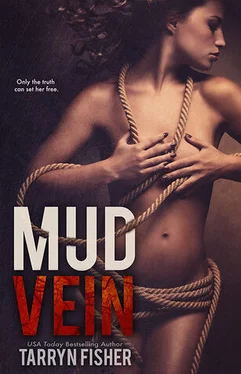 Tarryn Fisher Mud Vein обложка книги