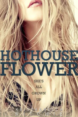 Krista Ritchie Hothouse Flower обложка книги