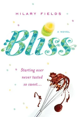Hilary Fields Bliss обложка книги