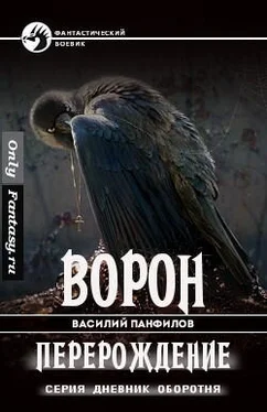 Василий Панфилов Ворон. Перерождение обложка книги