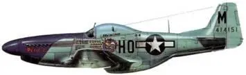 P51D10NA 4414151 НОМ Petie 2nd 352nd FG 487th FS 8th AF Пи - фото 260