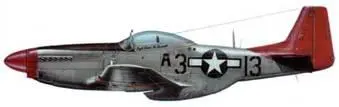 PS1D15 А313 99th FS 332nd FG 15th AF Италия апрель 1945 года Пилот - фото 267