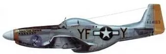 PS1D10NA 4414163 YFY Jake The Snake 358th FS 355th FG 8th AF - фото 270