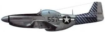 P51D20NA 4463909 557 экс 257 458th FS 506th FG 20th AF Иводзима - фото 273