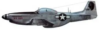 P51D15NA 125 Big Dog 76th FS 23rd FG 14th AF Китай июнь 1945 - фото 274