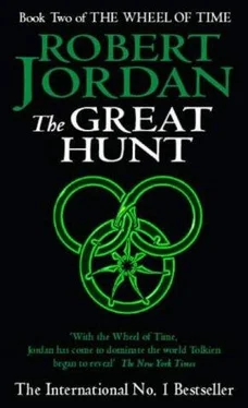 Robert Jordan The Great Hunt обложка книги