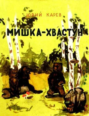 Юрий Карев Мишка-хвастун обложка книги