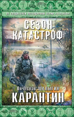 Вячеслав Шалыгин Карантин обложка книги