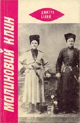 Дмитро Білий - Малиновий Клин