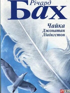 Річард Бах Чайка Джонатан Лівінгстон обложка книги