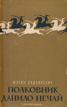 Юліан Радзикевич Полковник Данило Нечай. У 2 чч. Частина 2 обложка книги