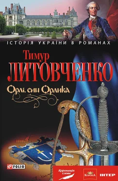 Тимур Литовченко Орлі, син Орлика обложка книги