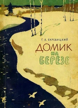 Георгий Скребицкий Домик на берёзе обложка книги