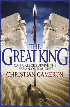 Christian Cameron The Great King обложка книги