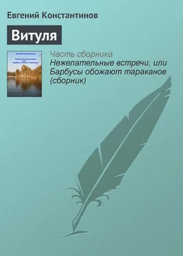 Евгений Константинов Витуля обложка книги