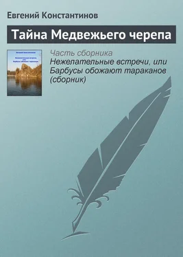 Евгений Константинов Тайна Медвежьего черепа обложка книги