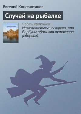 Евгений Константинов Случай на рыбалке обложка книги