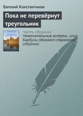 Евгений Константинов Пока не перевёрнут треугольник обложка книги