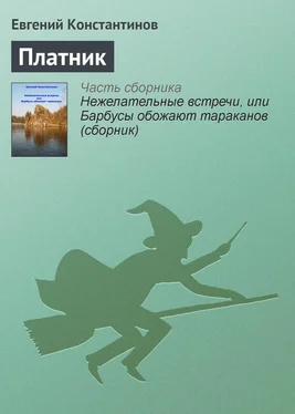 Евгений Константинов Платник обложка книги