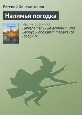 Евгений Константинов Налимья погодка обложка книги