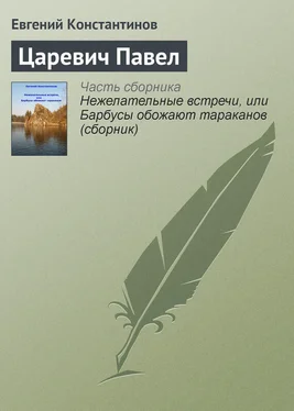 Евгений Константинов Царевич Павел обложка книги