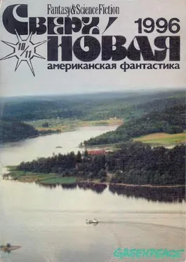 Лариса Михайлова Сверхновая американская фантастика, 1996 № 10-11 обложка книги