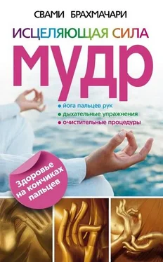 Свами Брахмачари Исцеляющая сила мудр. Здоровье на кончиках пальцев обложка книги