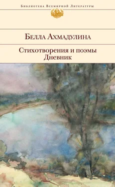 Белла Ахмадулина Стихотворения и поэмы. Дневник обложка книги