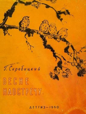 Георгий Скребицкий Весне навстречу обложка книги