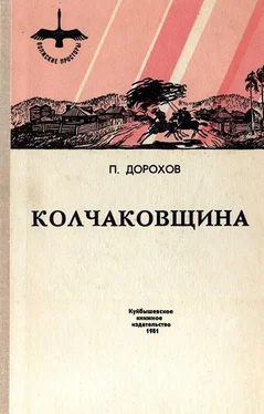 Павел Дорохов Колчаковщина обложка книги