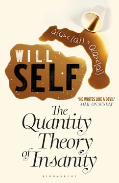 Will Self The Quantity Theory of Insanity: Reissued обложка книги