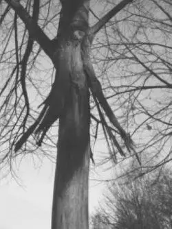 To begin with she was giddy with the fall amused by her own forgetfulness - фото 55