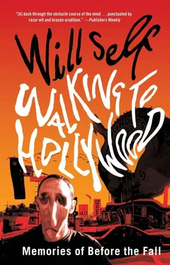 Will Self Walking to Hollywood обложка книги