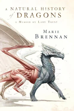Marie Brennan A Natural History of Dragons обложка книги
