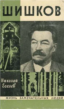 Николай Еселев Шишков обложка книги