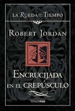 Robert Jordan Encrucijada en el crepúsculo обложка книги