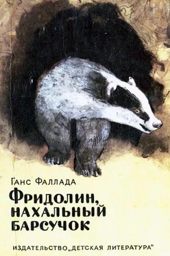 Ганс Фаллада Фридолин, нахальный барсучок обложка книги