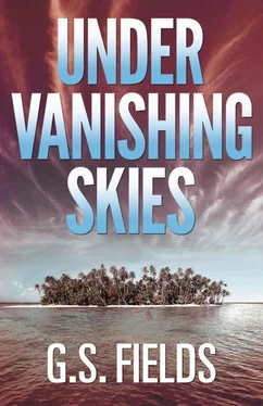 G. Fields Under Vanishing Skies обложка книги