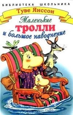 Туве Янссон Маленькие тролли или большое наводнение обложка книги