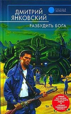 Дмитрий Янковский Разбудить бога обложка книги