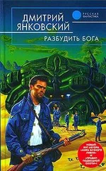 Дмитрий Янковский - Разбудить бога