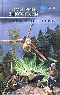 Дмитрий Янковский Мир вечного ливня обложка книги