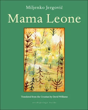 Miljenko Jergovic Mama Leone обложка книги