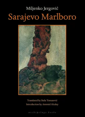 Miljenko Jergovic Sarajevo Marlboro обложка книги