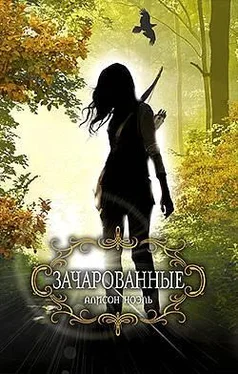 Алисон Ноэль Зачарованные обложка книги